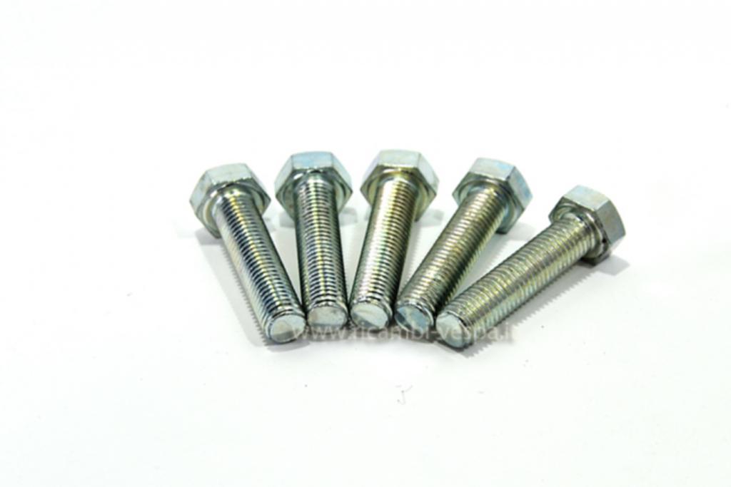 Screws KIT Viti M 7 hexagonal head with 11 mm plug (5 pcs.) 