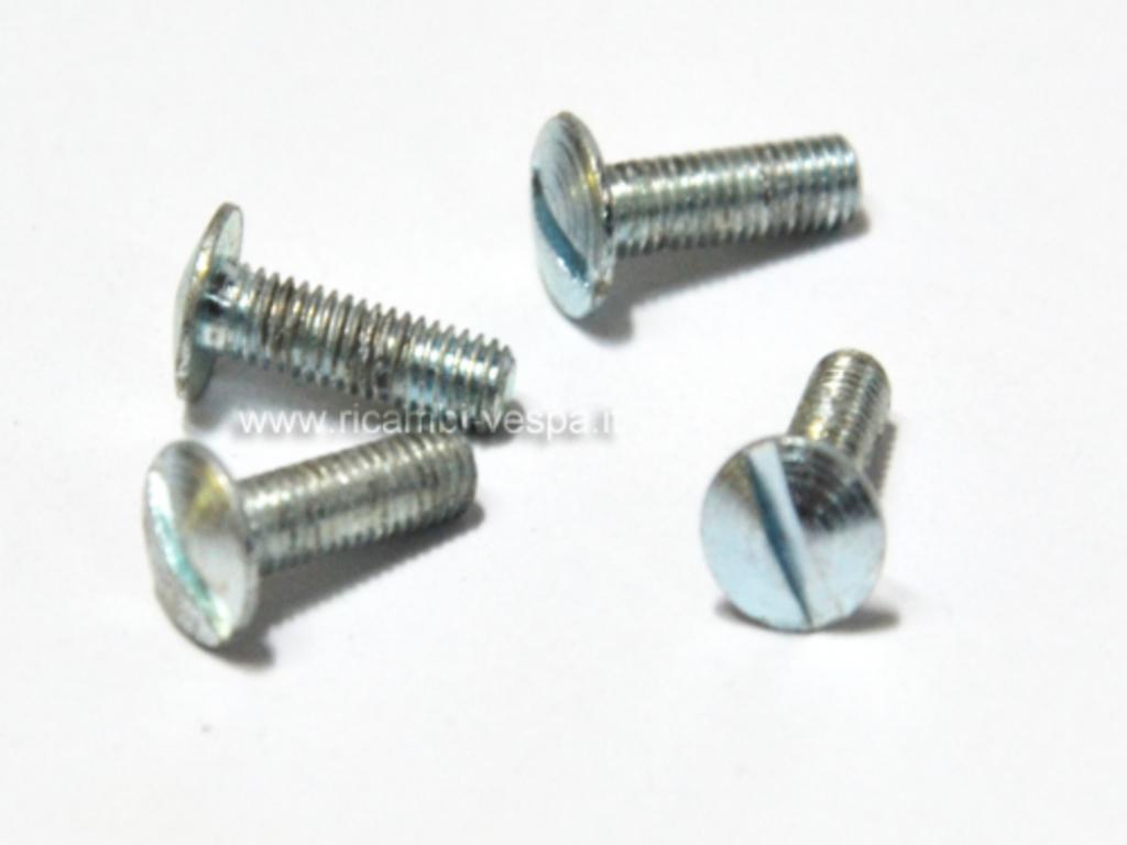 Scres kit for horn fastening (4 pcs) 