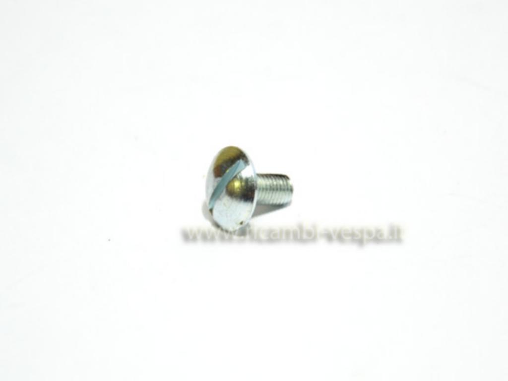 Mudguard screw 